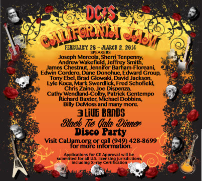 California Jam 2014