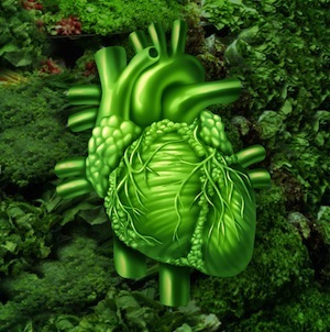 Dark leafy green vegetables are a great source of folate.