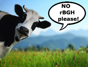 This cow doesn't want any rBGH!