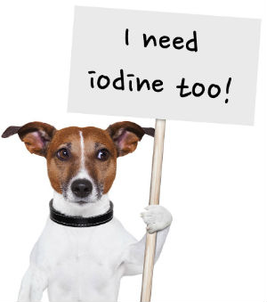 Dogs need iodine too!