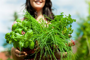 herbs-for-female-health