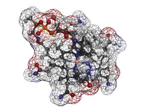 intrinsic-factor-molecule
