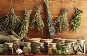 herbs-hanging-to-dry