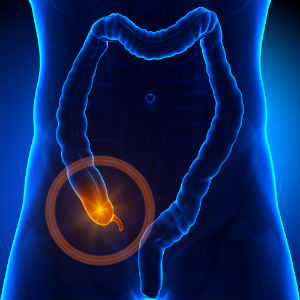 picture-of-appendix