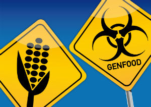 yellow-signs-GMO