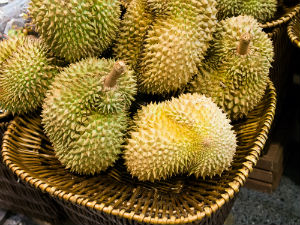 durian-in-a-basket