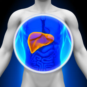 animated-liver-and-body