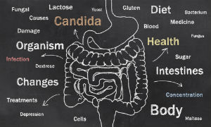 candida-overview