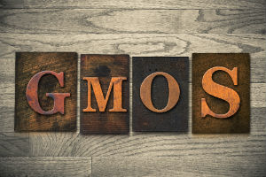 GMO-letters-against-wood