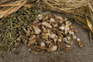dried-chicory-root-and-herbs