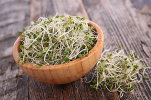broccoli-sprouts-in-bowl