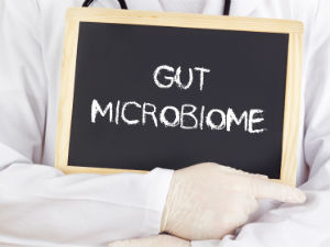 gut-microbiome-on-chalkboard