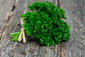 fresh-parsley
