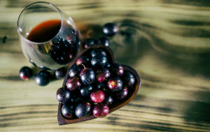 grapes-and-wine-resveratrol