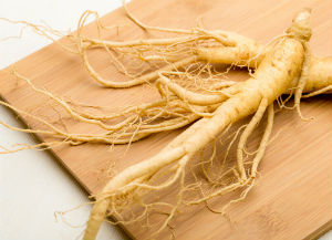 fresh-root