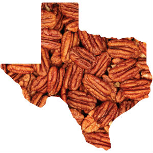 Pecans in the Shape of Texas