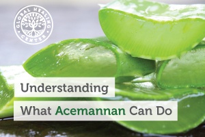 Acemannan is a polysaccharide and the single most important molecular component in aloe vera.