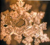 A structured water molecule after being exposed to Bach's ‘Air For the G String’. From ‘The Message From Water’ by Masaru Emoto.