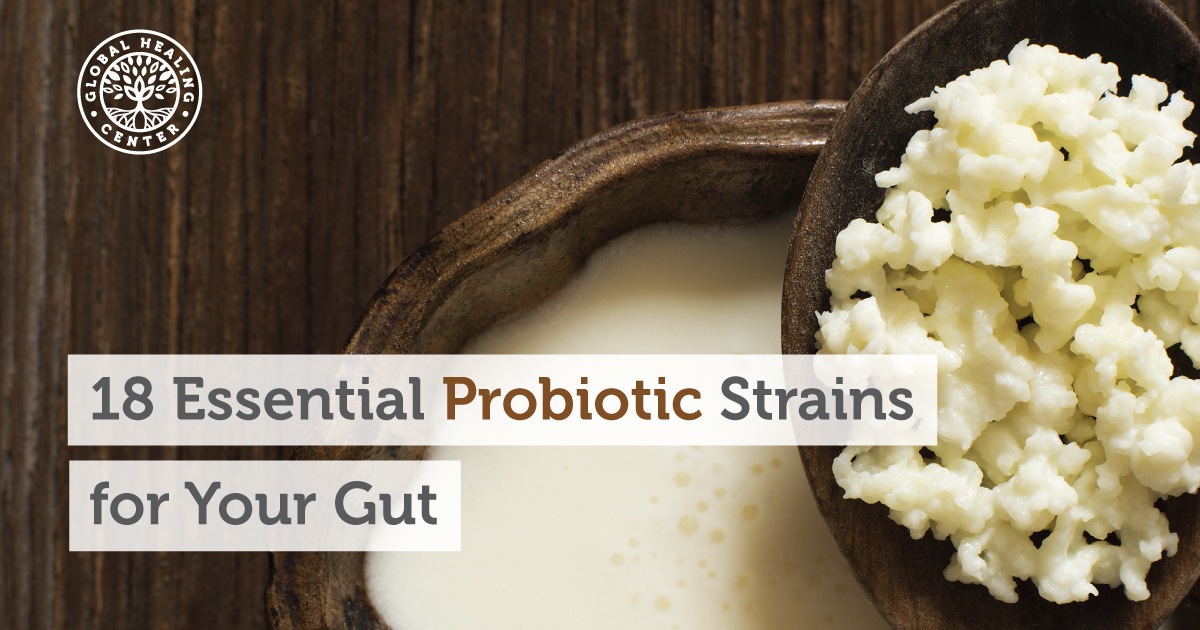 The 18 Best Probiotic Strains for Your Gut