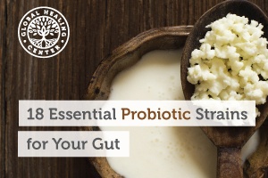 Kefir grains on a wooden spoon, a fermented food full of best probiotic strains which are a beneficial supplement for gut health.
