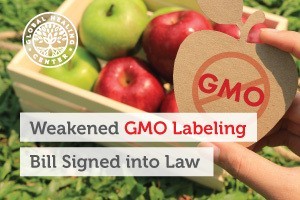 A box of organic green and red apples. One compromise in the new GMO labeling bill will allow companies to hide GMO information behind QR codes.