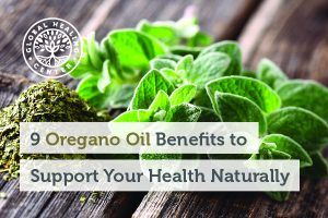 Oregano leaves. Many of the benefits of oregano oil come from a compound called carvacrol.