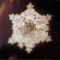 Structured water molecule after being exposed to Beethoven's Pastorale. From ‘The Message From Water’ by Masaru Emoto.