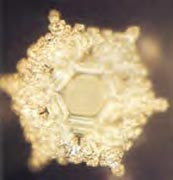 A structured water molecule after exposure to positive language phrase: ‘Love and Appreciation.’ From ‘The Message From Water’ by Masaru Emoto.