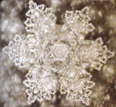 A structured water molecule of spring water of Saijo, Japan. From ‘The Message From Water’ by Masaru Emoto.