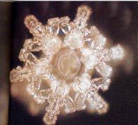 A structured water molecule of spring water of Sanbu Ichi Yusui, Japan. From ‘The Message From Water’ by Masaru Emoto.