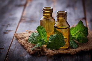 Two bottles of peppermint oil with peppermint leaves around them.