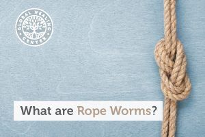 A tied up line representing rope warm. Rope worms may be a byproduct of GMO present in food.