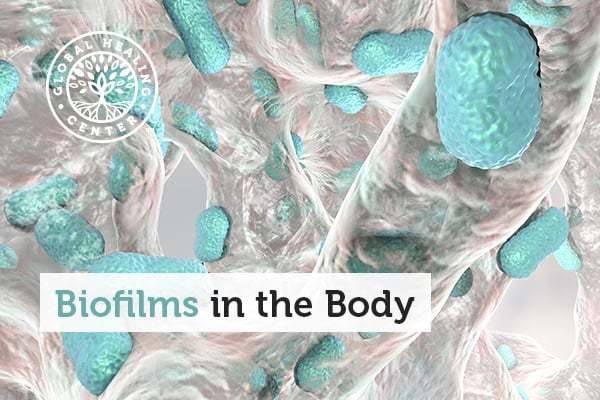 Biofilms form in the different areas like the appendix, mouth, lungs and the colon.