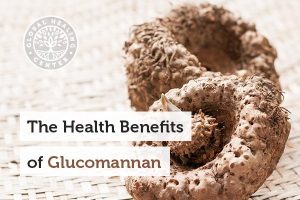 Glucomannan comes from the root of the konjac plant