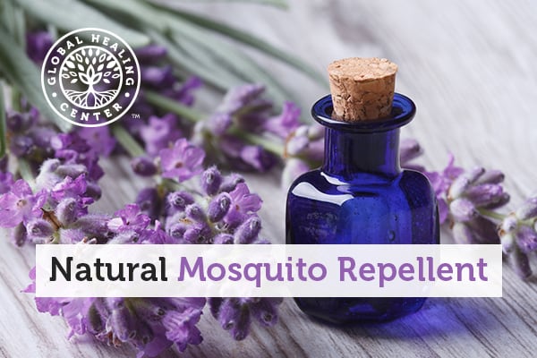 Essential oils are a great natural mosquito repellent.