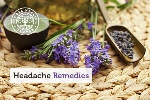 Lavender is a natural headache remedy.