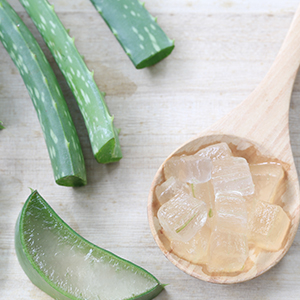 A picture of aloe vera cut into pieces. Aloe vera is a powerful healing herb.